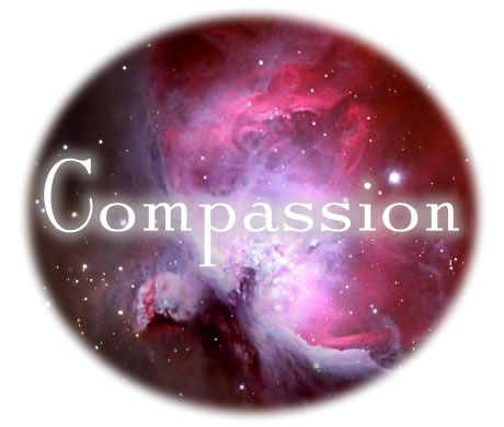 How do we build a more compassionate world? Compassion